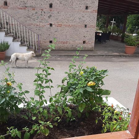 Azienda Agricola Neocastrum Lamezia Terme Εξωτερικό φωτογραφία