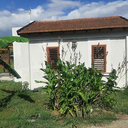 Azienda Agricola Neocastrum Lamezia Terme Εξωτερικό φωτογραφία