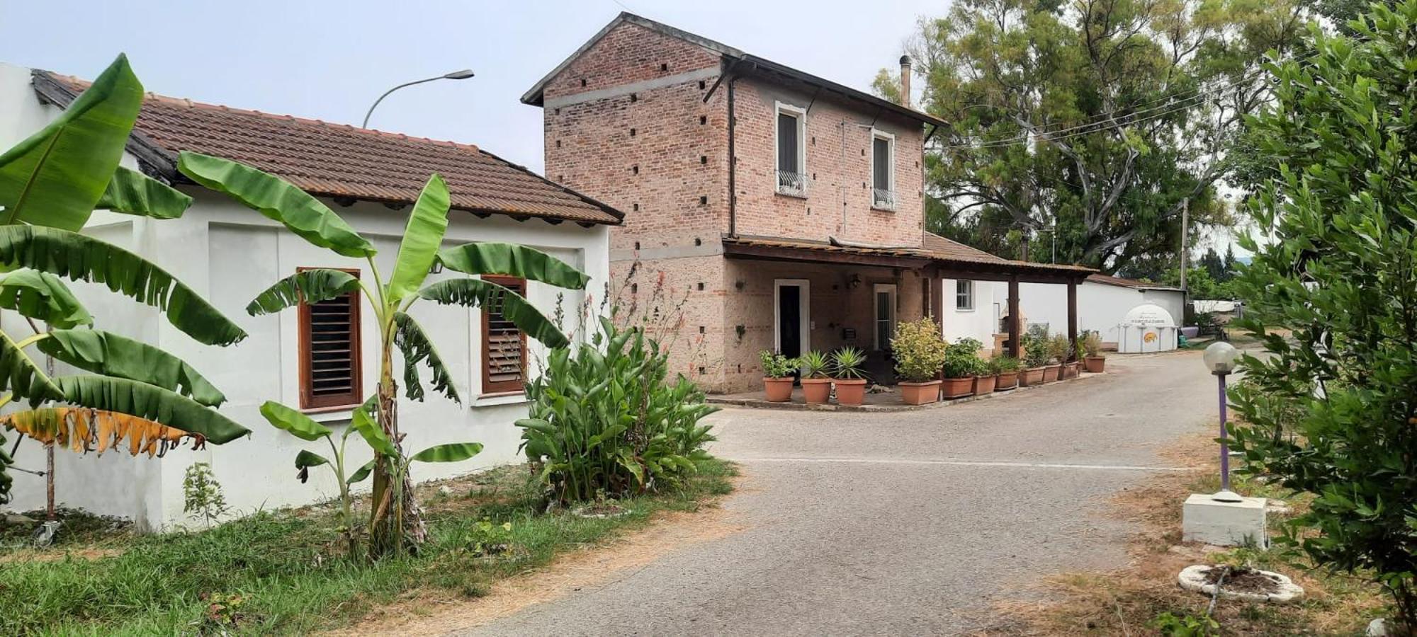 Azienda Agricola Neocastrum Lamezia Terme Εξωτερικό φωτογραφία