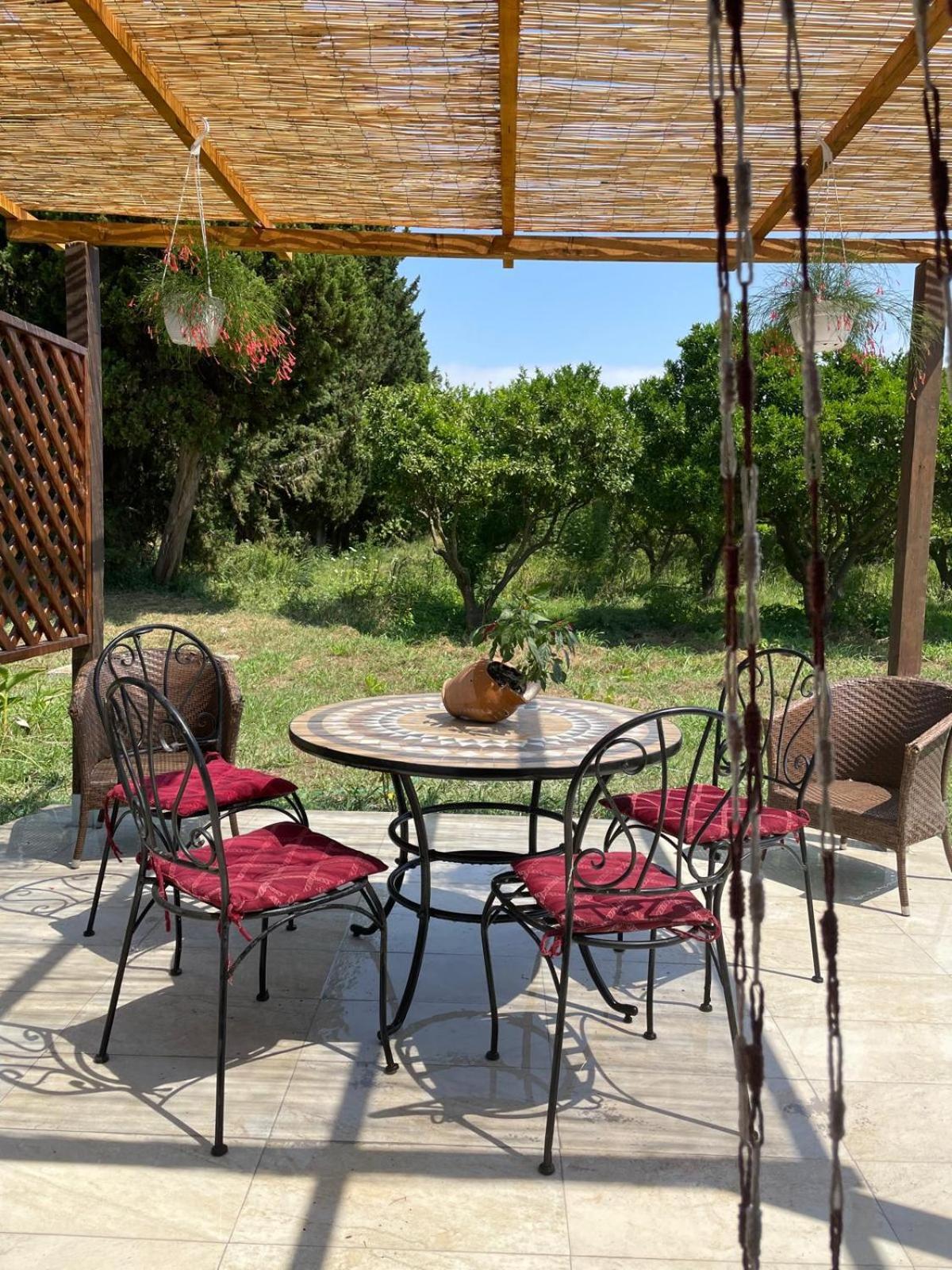 Azienda Agricola Neocastrum Lamezia Terme Εξωτερικό φωτογραφία